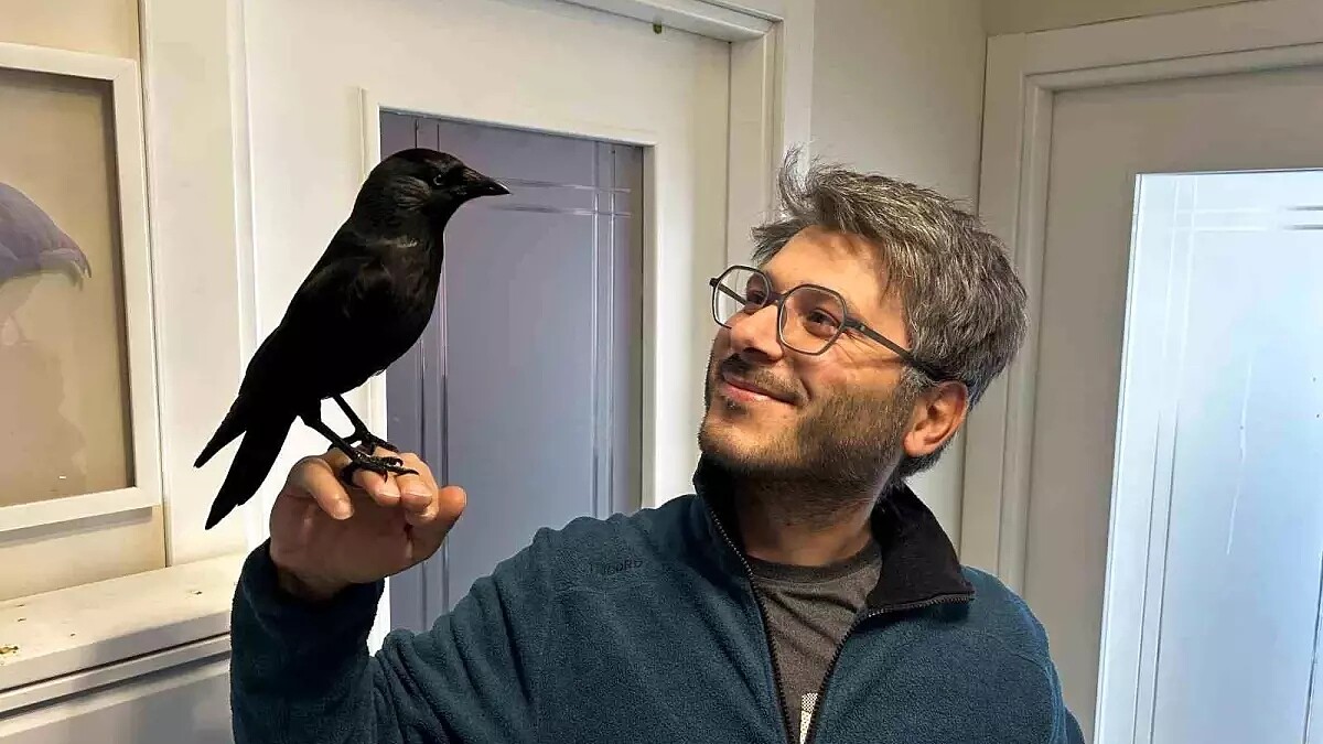 Sivas’ta Doktorun Yavru Kargaya Gösterdiği Şefkat Dikkat Çekiyor