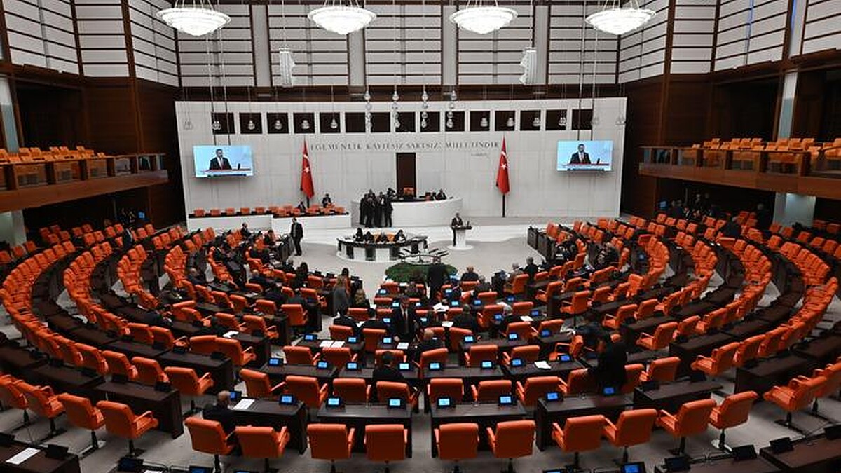 TBMM Dilekçe Komisyonu'na İlginç Talepler: Emeklilikten Mangal Yasağına Kadar Çeşitli İstekler