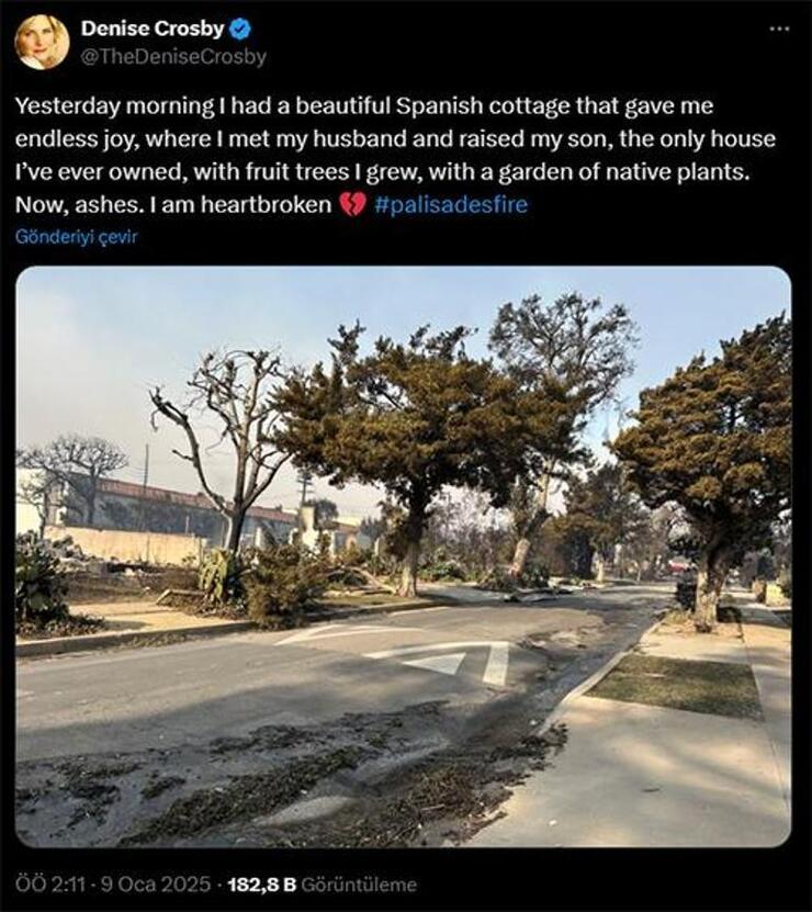 Los Angeles'taki Orman Yangınları 5 Kişinin Ölümüne ve 100 Bin Kişinin Tahliyesine Neden Oldu
