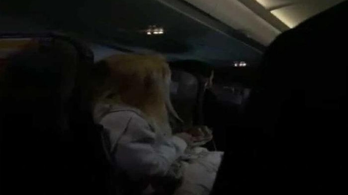 Gaziantep Havalimanı'nda Tanımlanamayan Cisim Uçuşları Durdurdu!