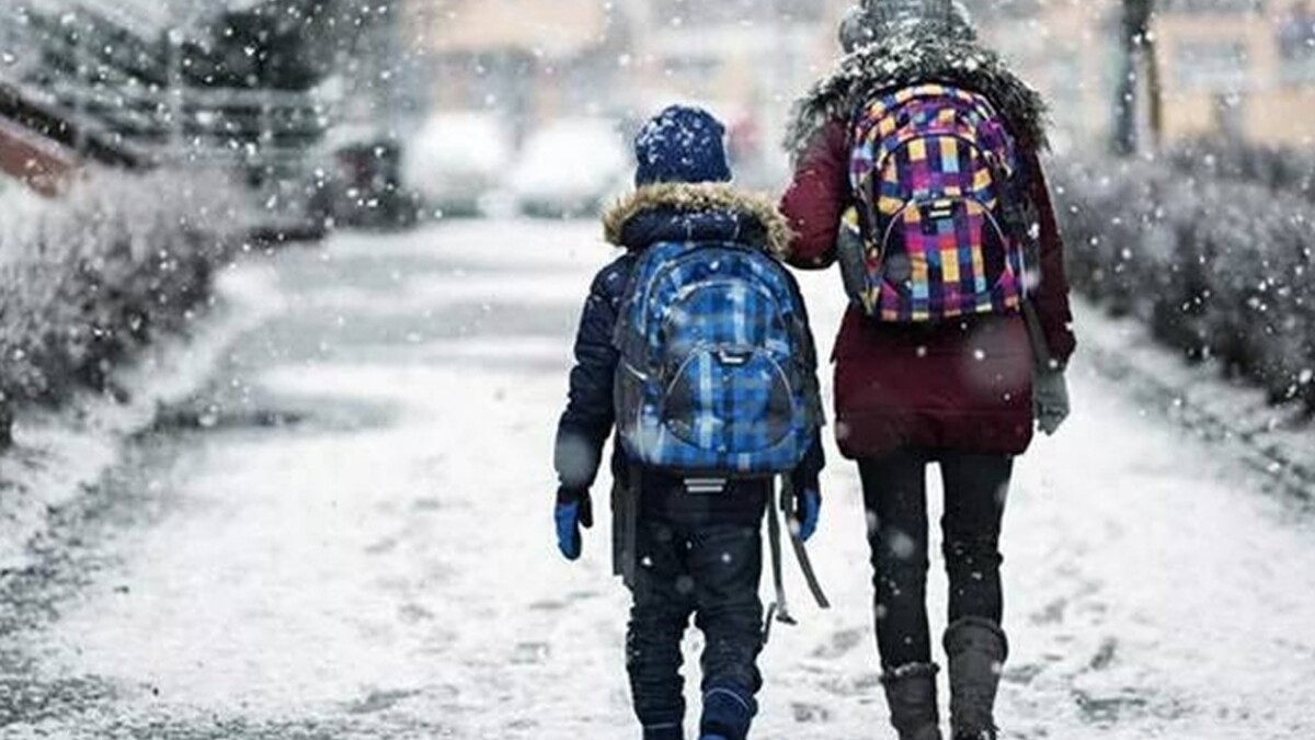 Kar yağışı nedeniyle Gümüşhane ve Ordu'da okullar tatil edildi!