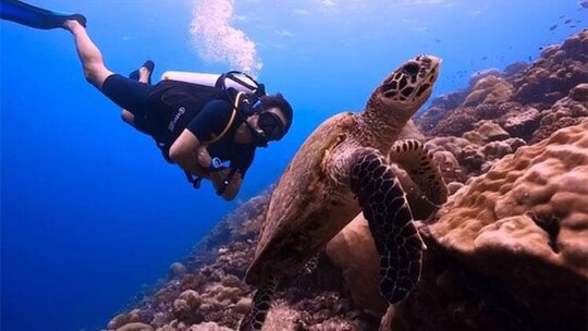 Mahsun Kırmızıgül Hint Okyanusu'nda köpek balıklarıyla yüzdü
