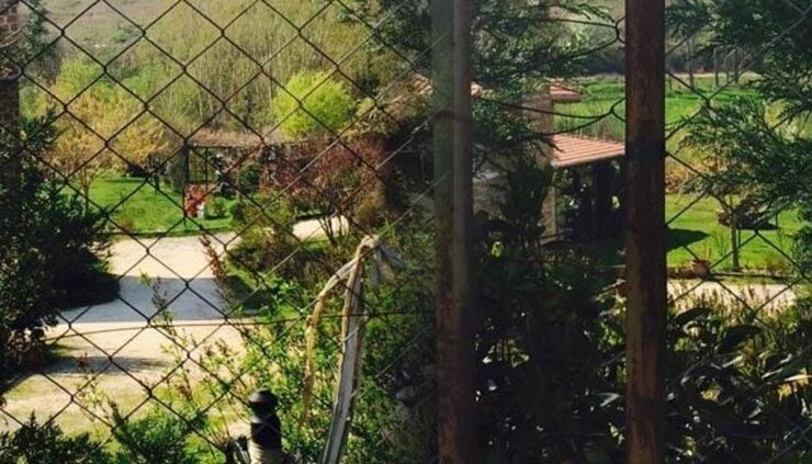 Candan Erçetin'den sürpriz adım: Lüleburgaz'da çiftlik kurdu!