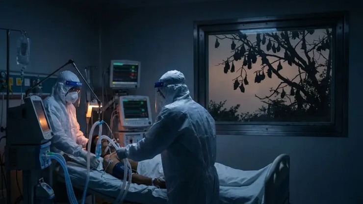 Hindistan'da Nipah virüsü paniği: İki sağlık çalışanı enfekte oldu