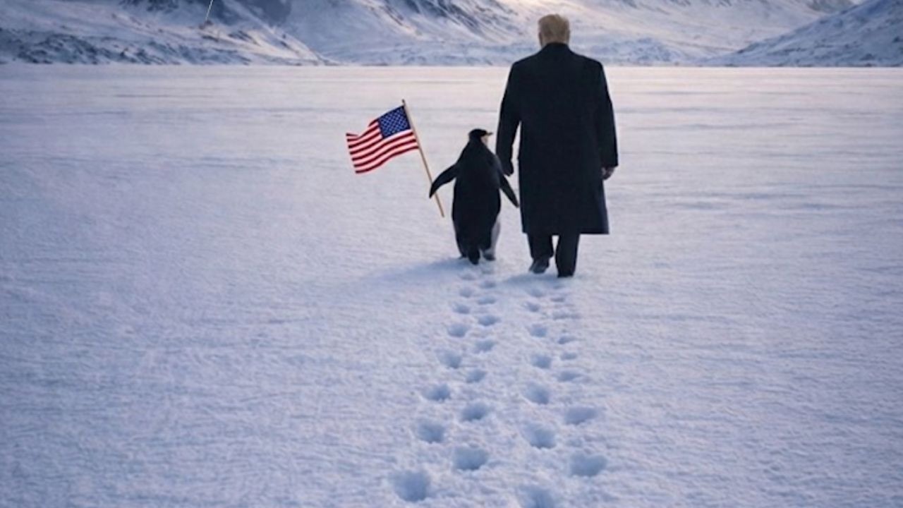 Beyaz Saray'ın Grönland Paylaşımında Penguen Hatası Gündem Oldu