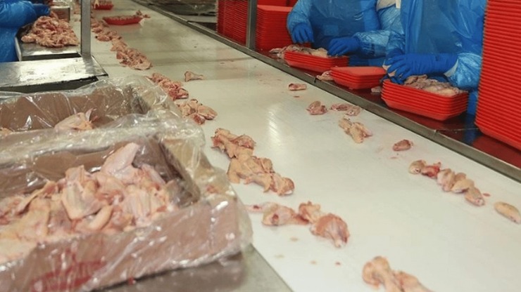 Tavuk Zammını Önleyecek İhracat Kararı Devrede