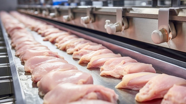 Tavuk Zammını Önleyecek İhracat Kararı Devrede