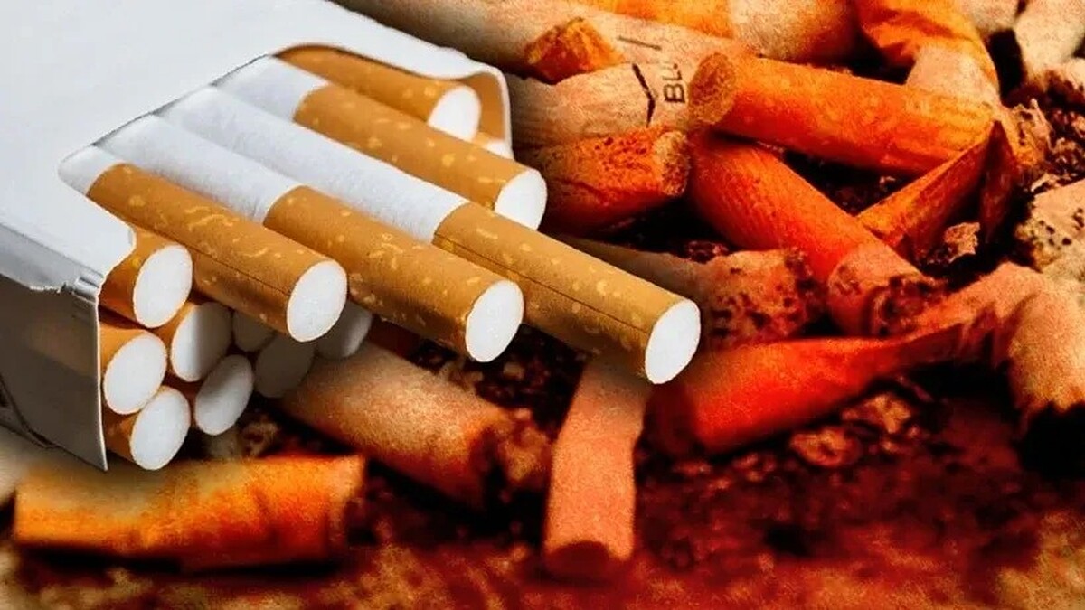 Parklarda ve Plajlarda Sigara İçmek Yasaklanıyor