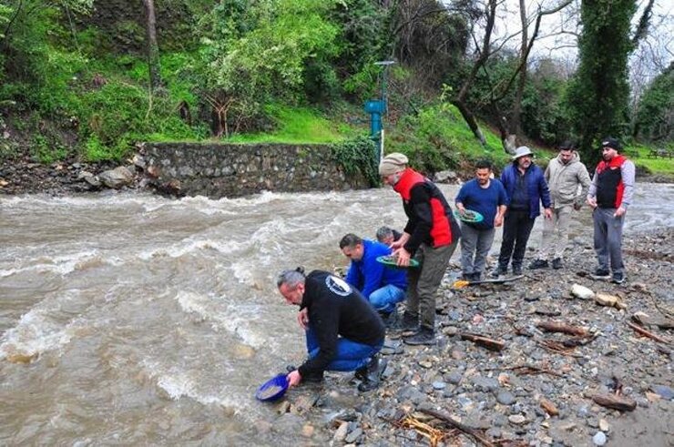 Kemalpaşa Deresinde 120 Kişi Altın Buldu