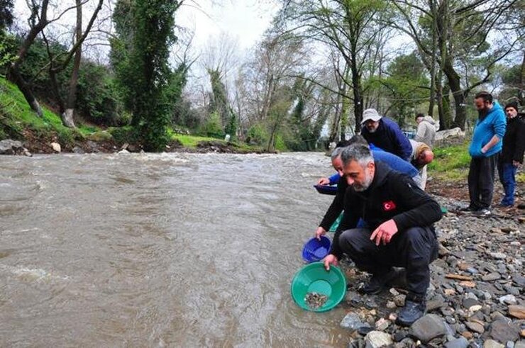 Kemalpaşa Deresinde 120 Kişi Altın Buldu