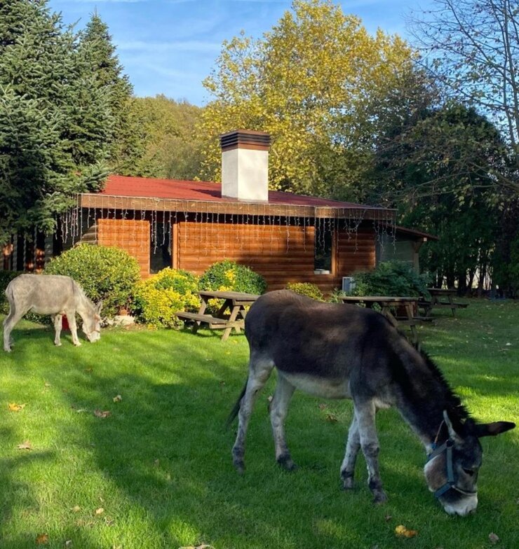 İlker Ayrık Beykoz'daki Çiftliğinde Organik Tarıma Başladı