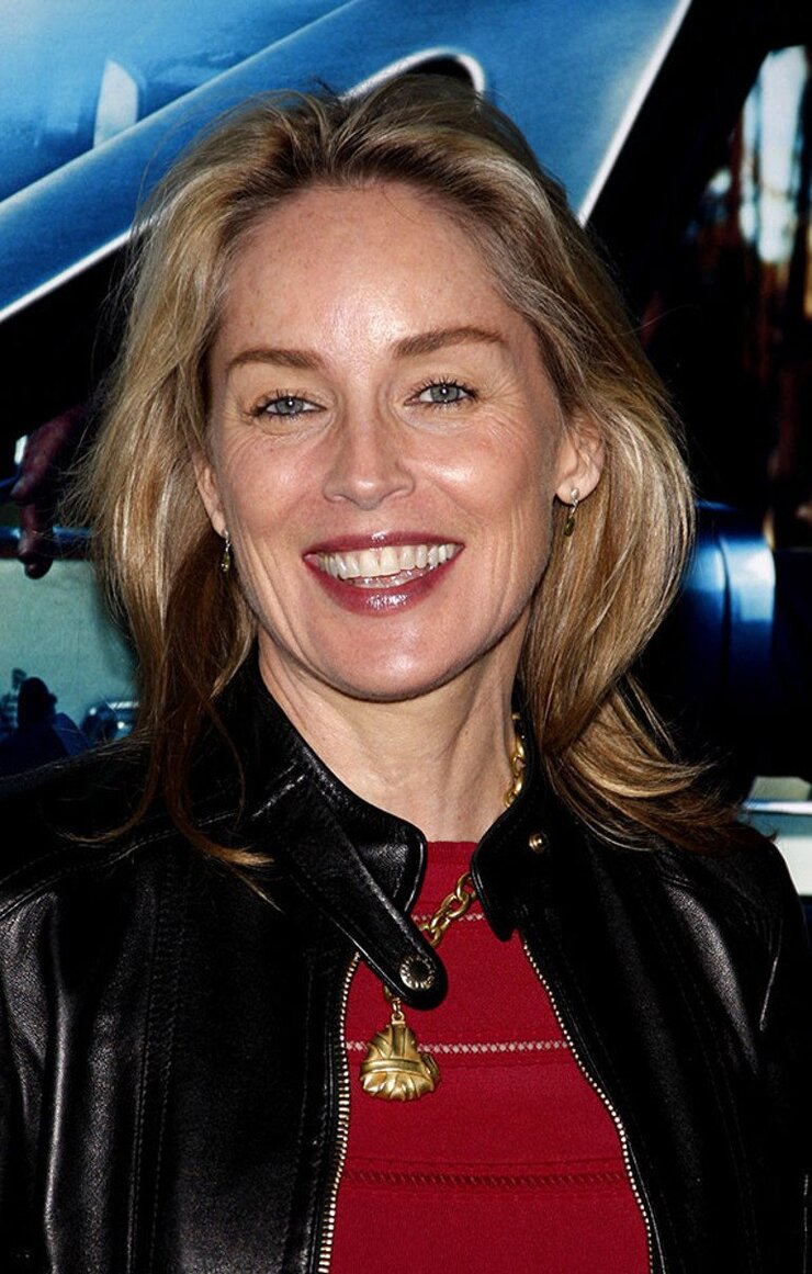 Sharon Stone Televizyondaki Açık Sahneleri Eleştirdi