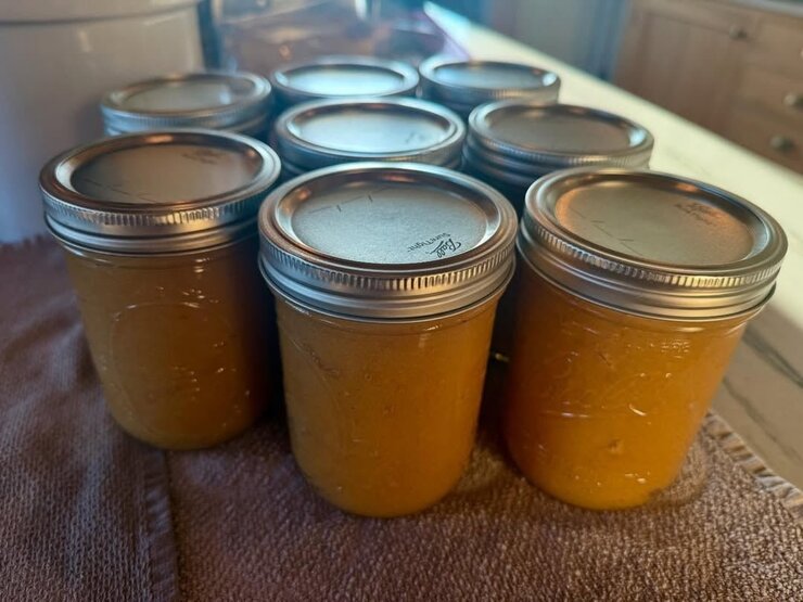 Carrie Underwood Sahneden Çiftliğe Döndü Sebze Yetiştiriyor