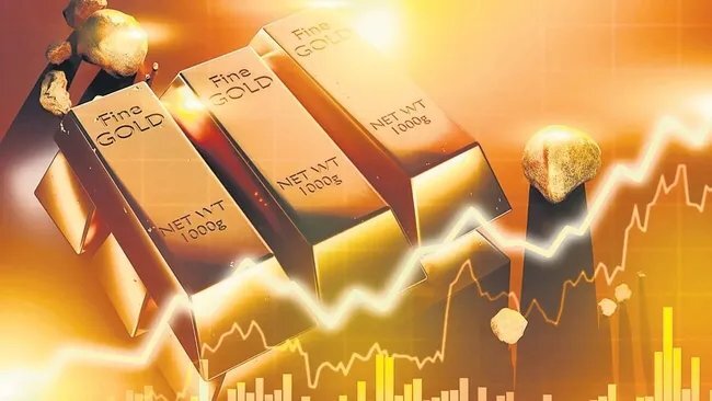 Türkiye'nin Altın Hamlesi Fransa'ya Örnek Oldu