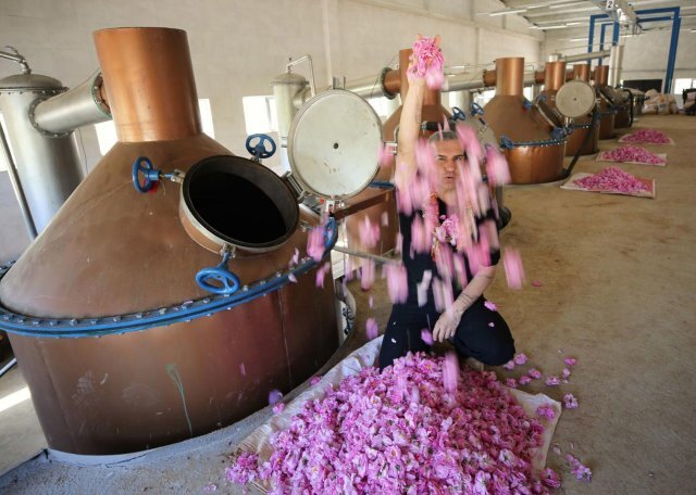 Berdan Mardini Köyüne 10 Milyon Dolarlık Yatırım Yaptı