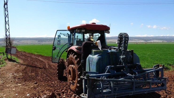 Araban Sarımsağında Yağışlar Rekoltesi Artırdı