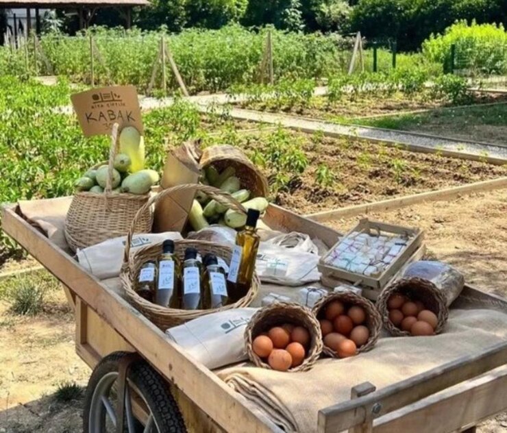 İlker Ayrık Beykoz'daki Çiftliğinde Organik Tarıma Başladı