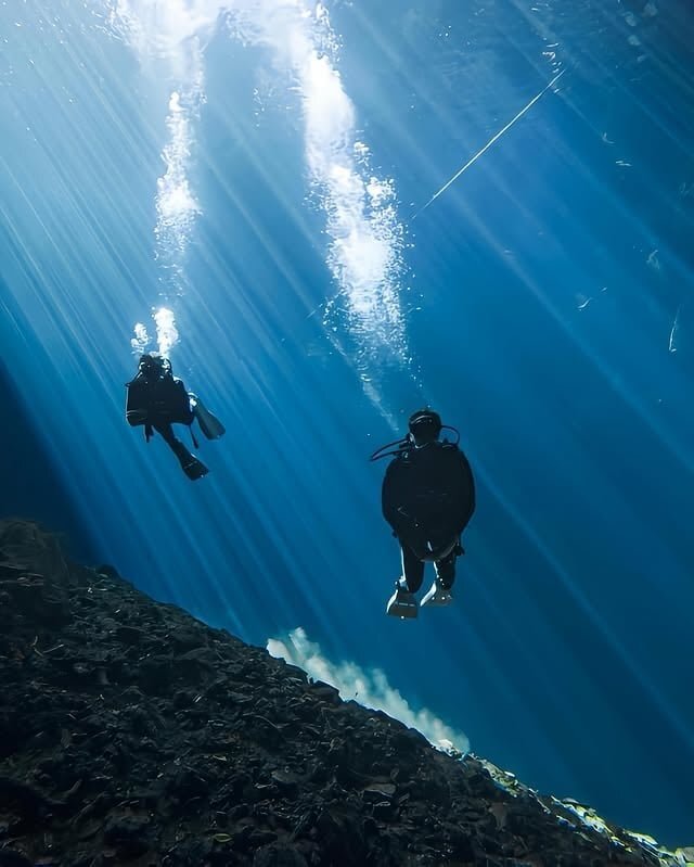 Eda Taşpınar Meksika'da 49 Metre Derinliğe Daldı