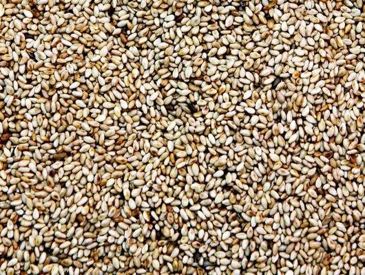 Meteoroloji Uyardı Balkanlardan Gelen Soğuk Hava Türkiyeyi Saracak