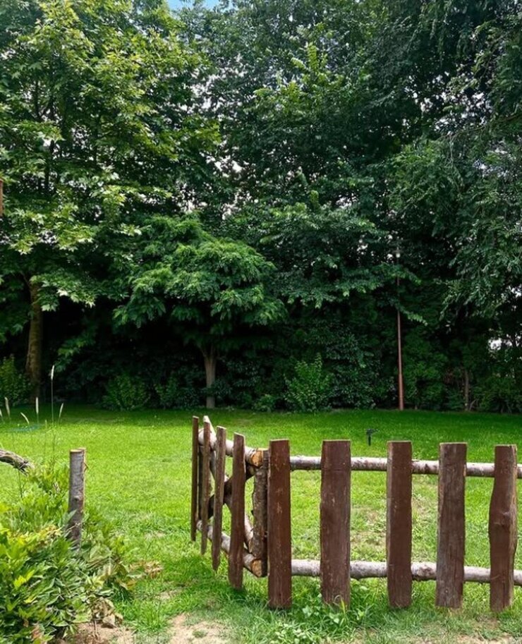 İlker Ayrık Beykoz'daki Çiftliğinde Organik Tarıma Başladı