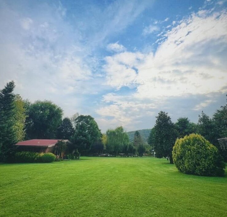 İlker Ayrık Beykoz'daki Çiftliğinde Organik Tarıma Başladı