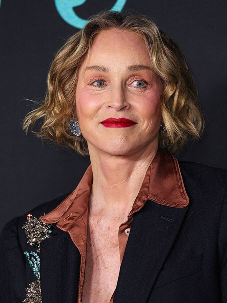 Sharon Stone Televizyondaki Açık Sahneleri Eleştirdi