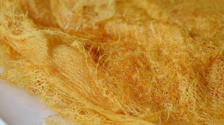 Bilim İnsanları Nesli Tükenen Midyenin Deniz İpeğini Yeniden Üretti