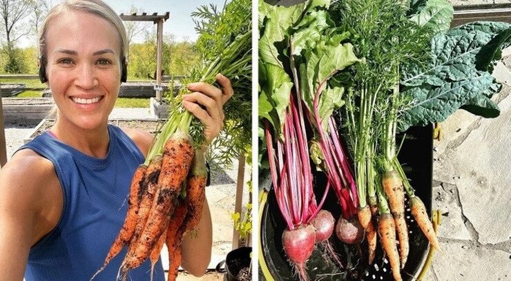 Carrie Underwood Nashville Çiftliğinde Kendi Yiyeceğini Yetiştiriyor