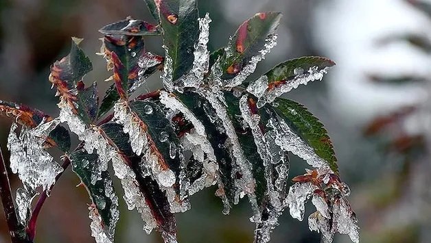 Meteoroloji 13-17 Nisan Hava Tahminini Açıkladı