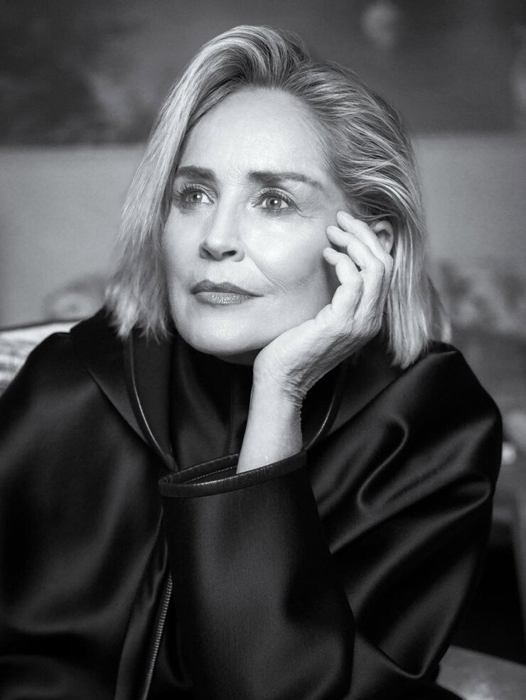 Sharon Stone Televizyondaki Açık Sahneleri Eleştirdi