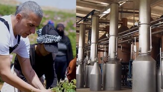 Berdan Mardini Köyüne 10 Milyon Dolarlık Fabrika Kurdu