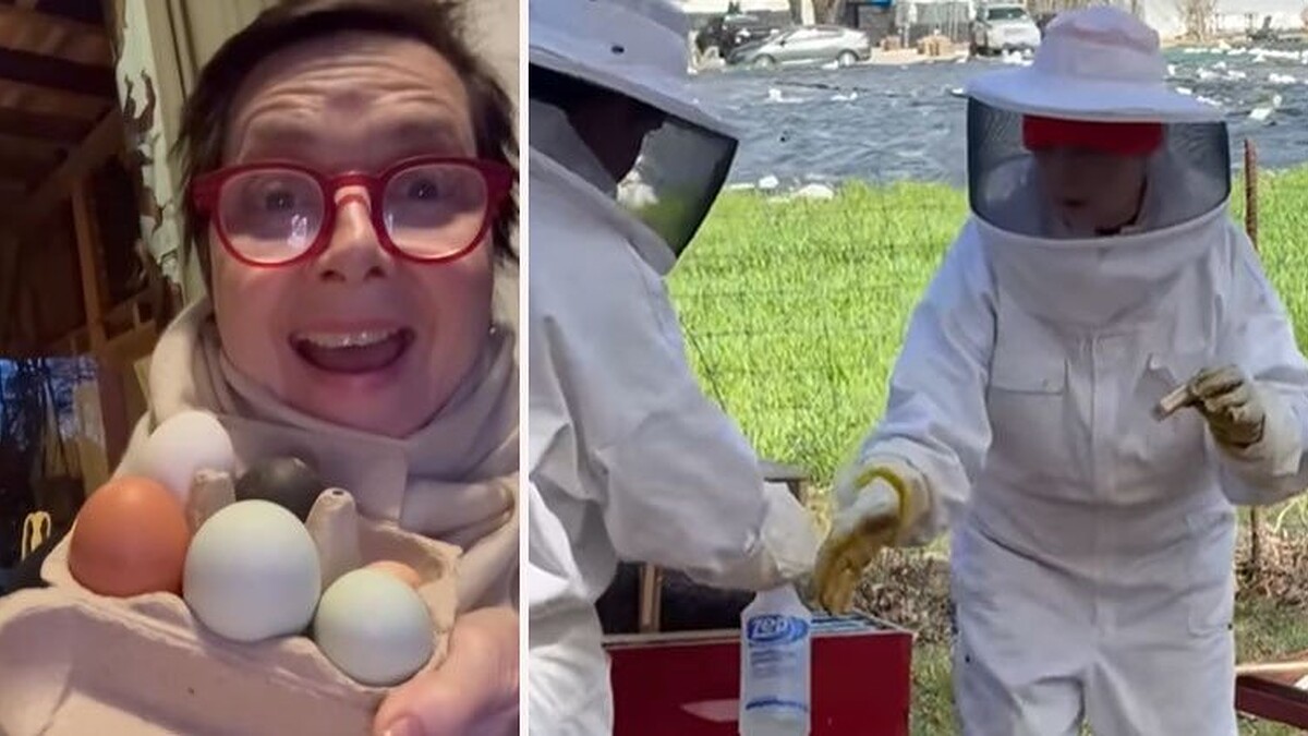 Isabella Rossellini 73 Yaşında Çiftçiliğe Yöneldi