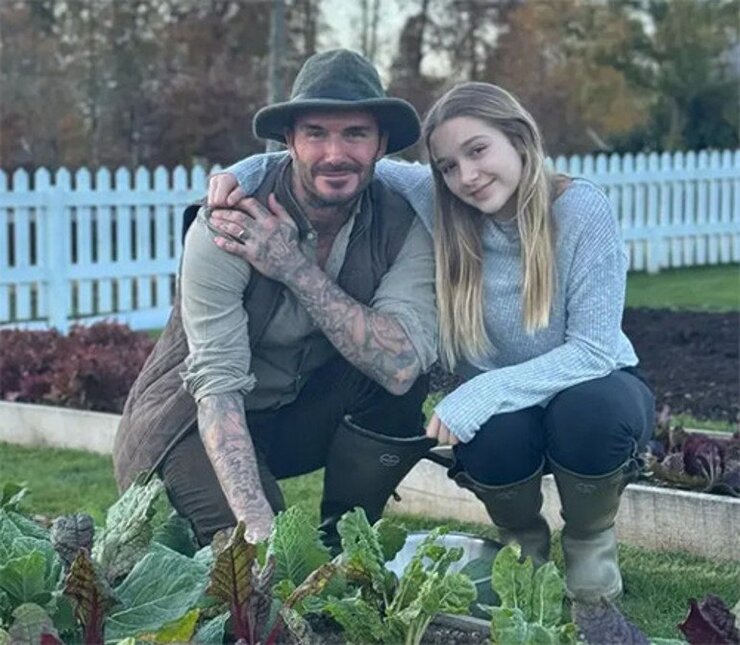 David Beckham Chelsea Çiçek Şovunda Kendi Adını Taşıyan Gülü Tanıttı
