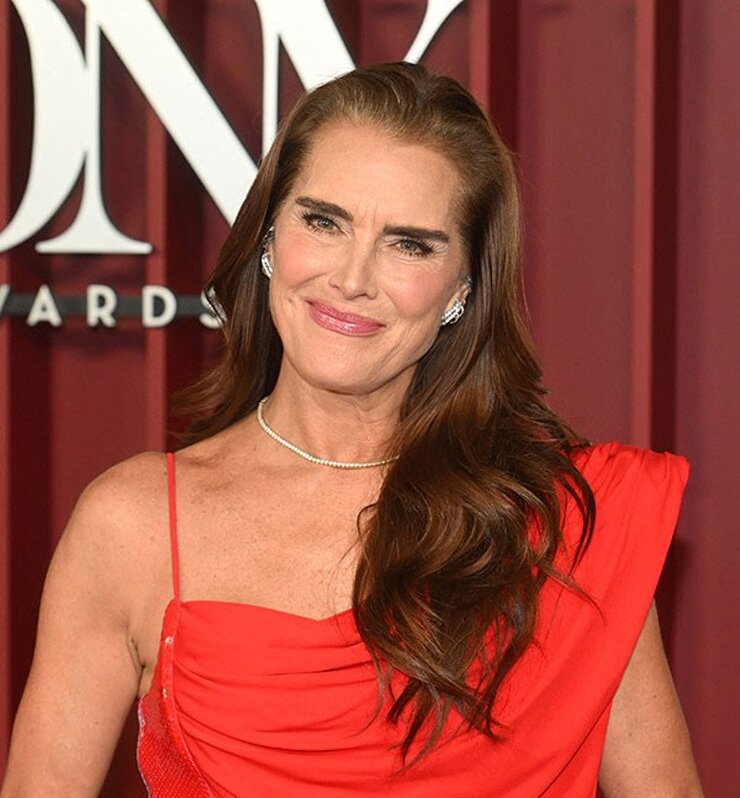 Brooke Shields Ve Eşi Chris Henchy 25. Evlilik Yıl Dönümlerini Kutladı