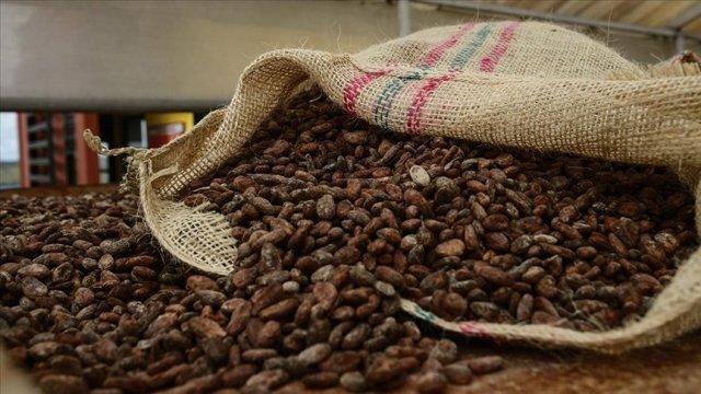 El Nino Tehdidi Palm Yağı Ve Pirinç Fiyatlarını Yukarı İtebilir