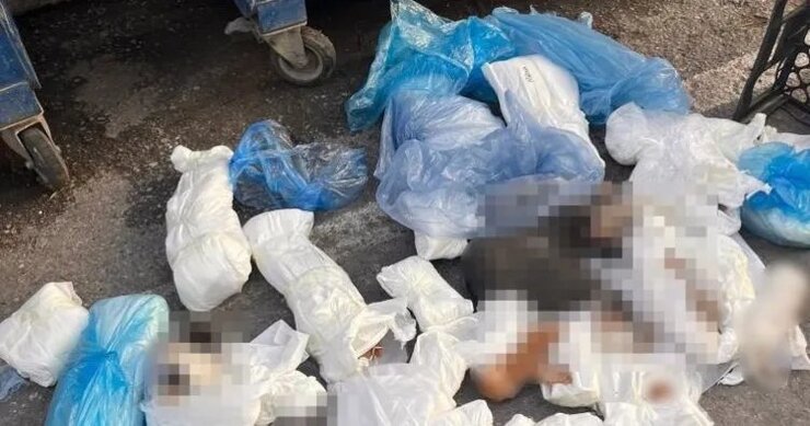 Buca'da 33 Kedi Ölümü Davasında Veteriner Yeniden Gözaltına Alındı