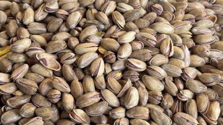 Fıstık Fiyatları 8 Yılın Zirvesinde Baklava Ve Tatlılara Yansıdı