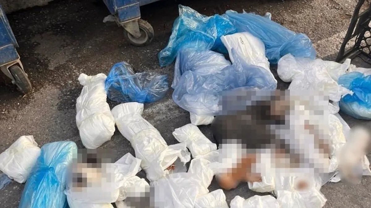 Buca'da 33 Kedi Ölümü Davasında Veteriner Yeniden Gözaltına Alındı