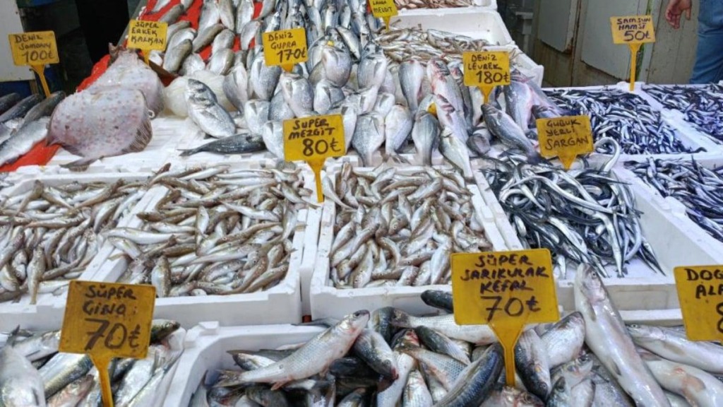 Karadeniz'de Hamsi Bolluğu: Fiyatlar Düşüyor