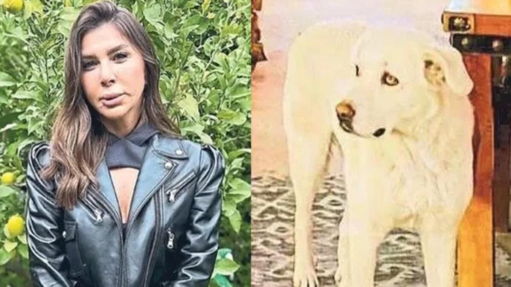 Stilist Sinem Küçükşahin Sokak Köpeğinin Saldırısına Uğradı, Dudağı Koptu!